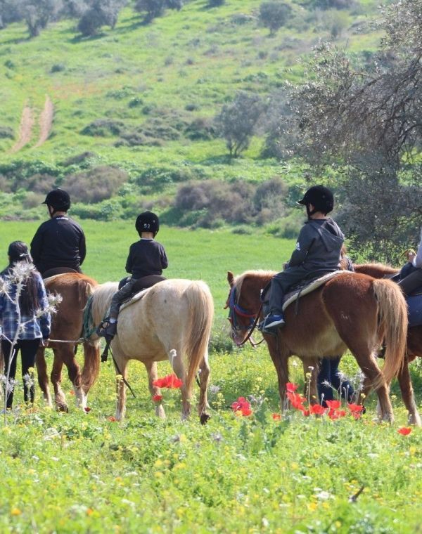 תמונה של רנצ'ו מניס: חווית רכיבה על סוסים - למטייל בישראל (טיולי)